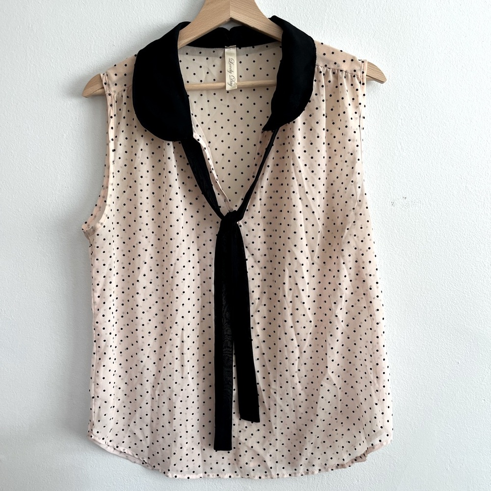 Beautiful Sheer Blouse